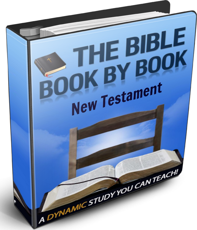 The Bible Book By Book: New Testament