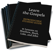 Load image into Gallery viewer, Teach the Gospels