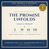 The Promise Unfolds: Old Testament Survey (5 Quarters)