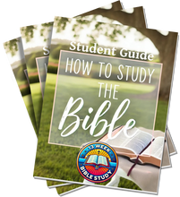 Load image into Gallery viewer, How to Study the Bible 13-Week Bible Study