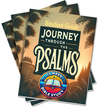 Load image into Gallery viewer, Journey through the Psalms 13-Week Bible Study